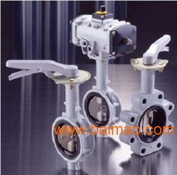 日本北澤kitz蝶閥,日本北澤kitz蝶閥生產(chǎn)廠家,日本北澤kitz蝶閥價格