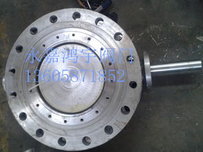 品牌 生產(chǎn)供應(yīng)商廠家 今日行情價(jià)格走勢 永嘉縣江北鴻宇閥門廠